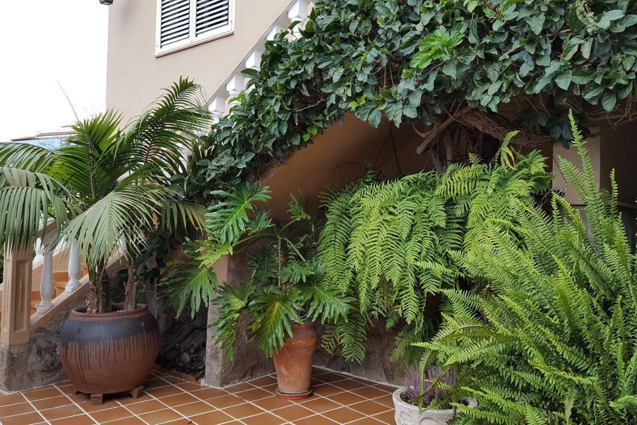 라오로타바 Orotava Garden House Perfect For Families 빌라 외부 사진