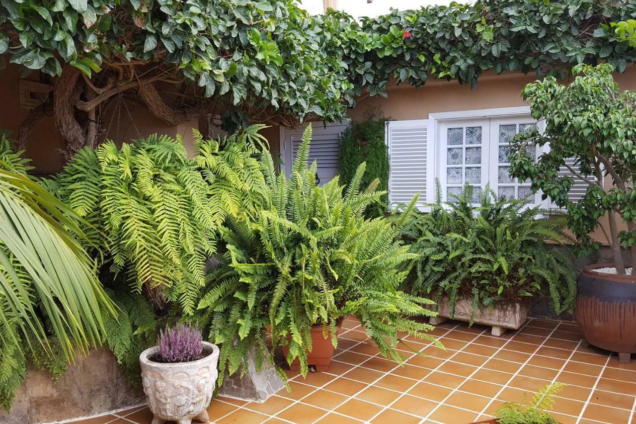 라오로타바 Orotava Garden House Perfect For Families 빌라 외부 사진